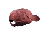 Glacier Raft Company Sleek Crossed Paddles Hat